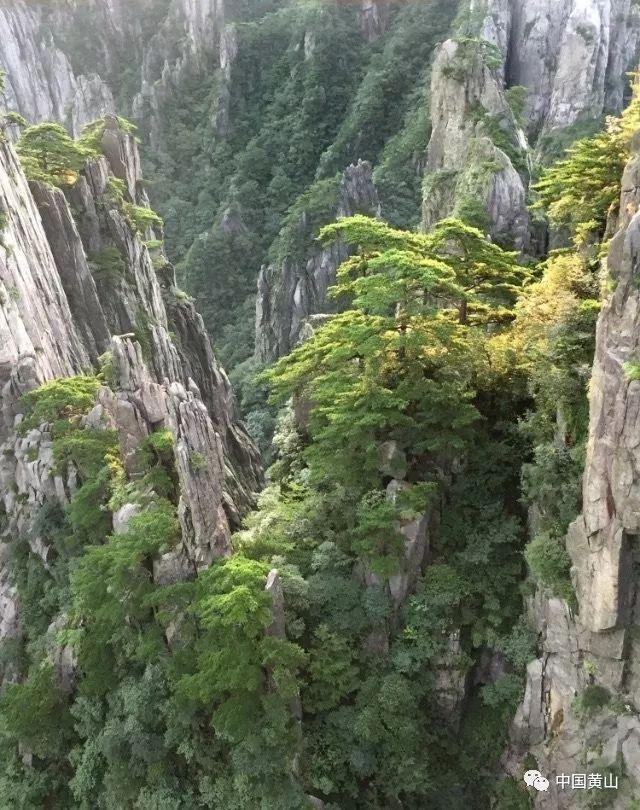 影视工厂